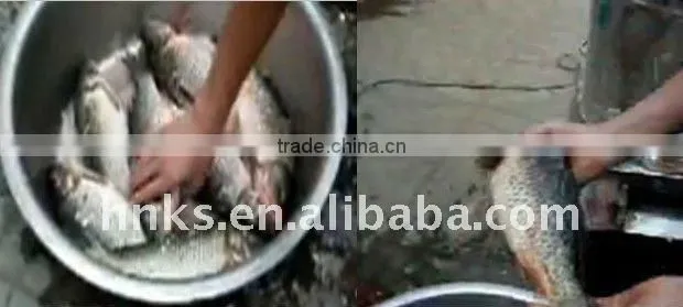 stainless steel automatic fish scale removing machine