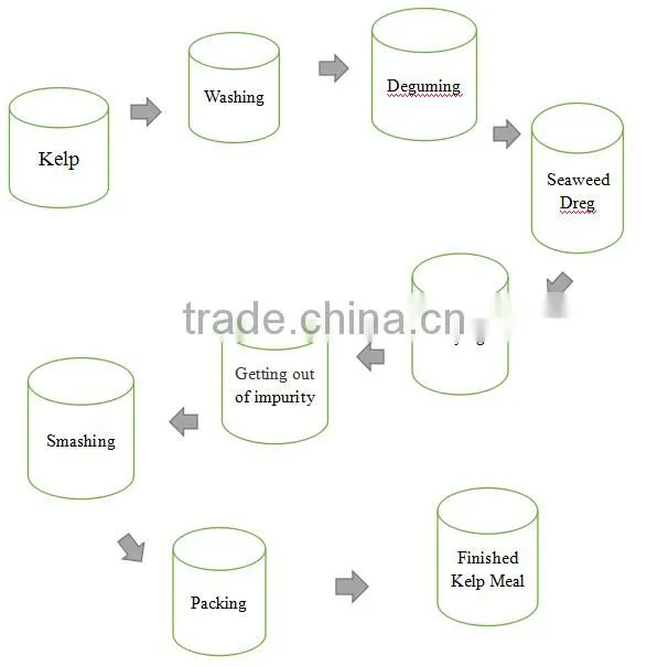 animals feed supplement Kelp Meal