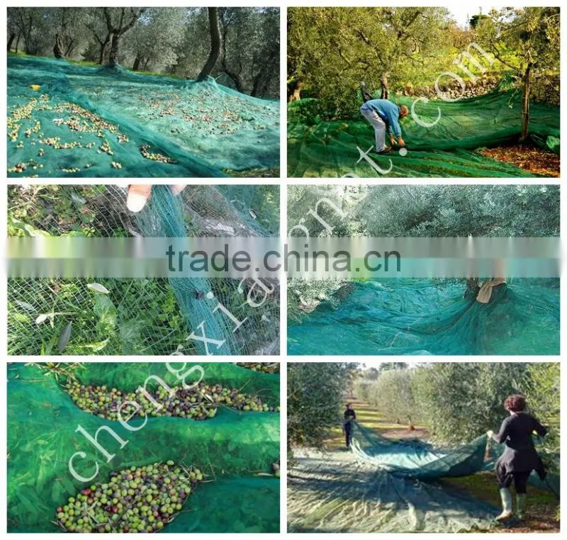 Olive harvest net ,fruit harvest net for sale