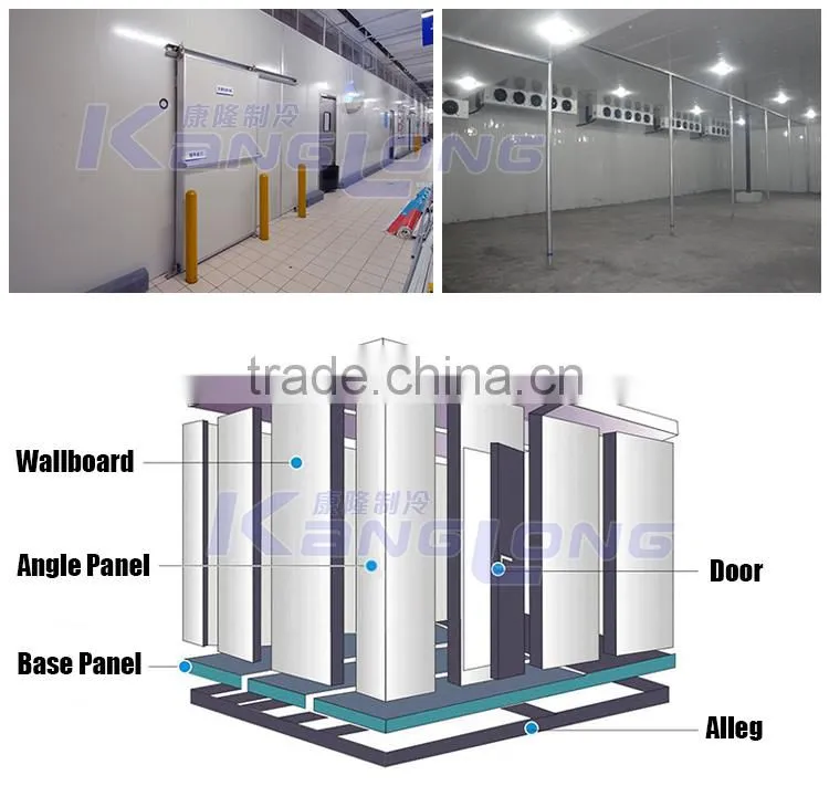 Hot Selling New Technology Container Cold Room