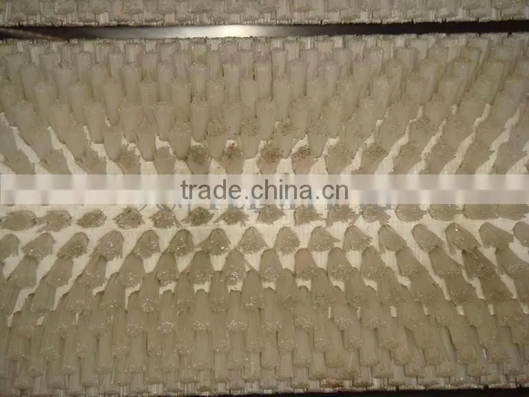 TW-1500A ginger peeling machine