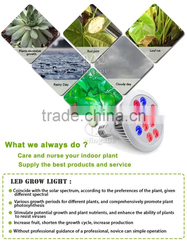 Usb Table Lamp LED Grow Light Mini LED Bulb Lights E27 LED Grow Light