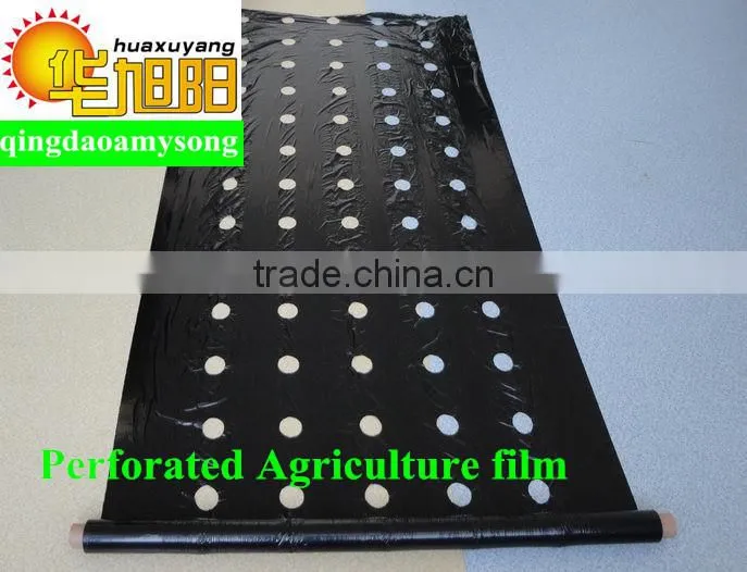 Blow molding agricultural HDPE plastic film roll factory