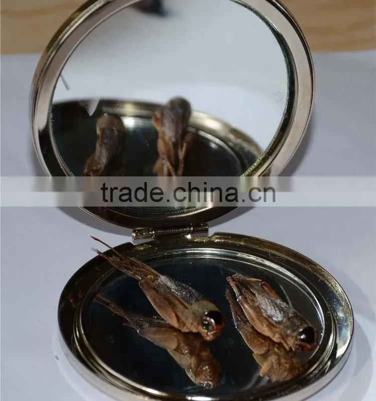 freeze dried dog food dried crickets, crickets poultry food