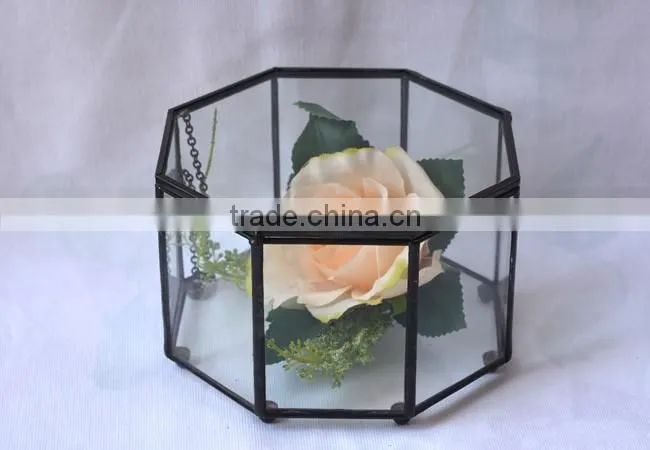 Micro indoor deocr landscape vase indoor plant glass terrarium