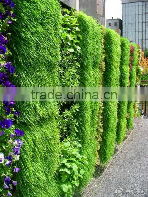 Vertical Garden wall planters