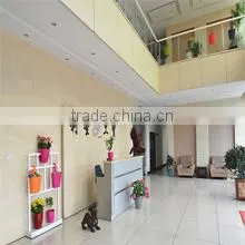 Yongkang Lisheng Industrial & Trading Co., Ltd. company overview - view 3