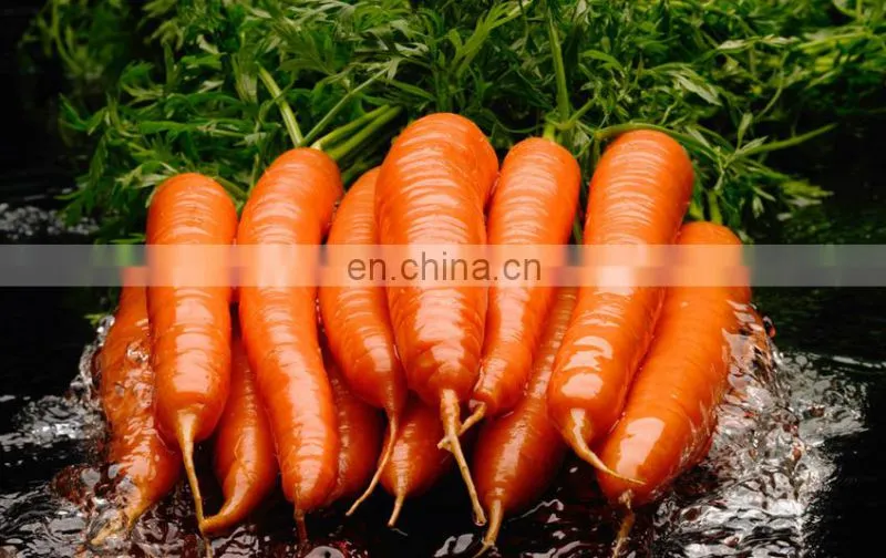 Electric vegetable and fruit washing machine for fresh fruits and vegetables