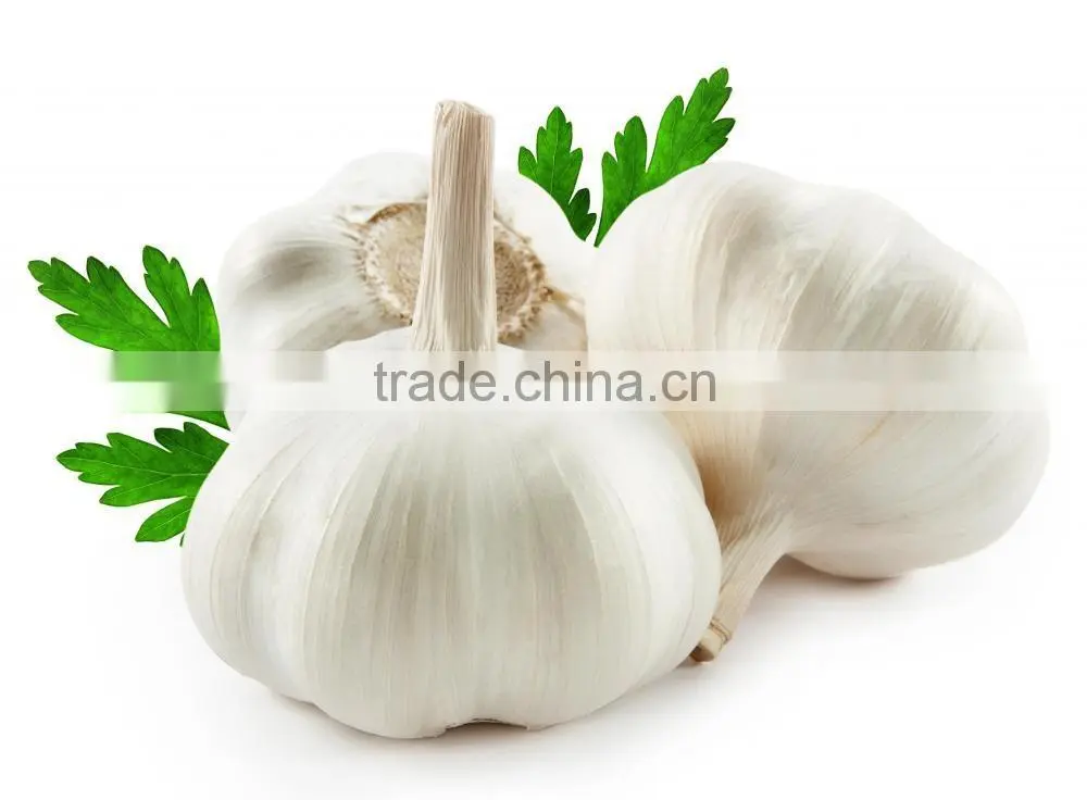 Jinxiang garlic hot sale garlic in 2016 10kg mesh bag packing