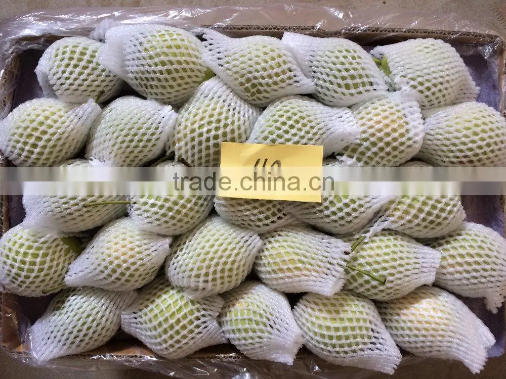 Good Qulity Fresh Shandong Pear Export To India