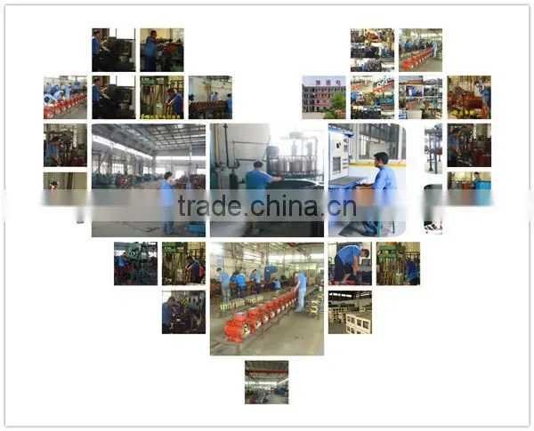 Asynchronous and Three-phase vibration motor company