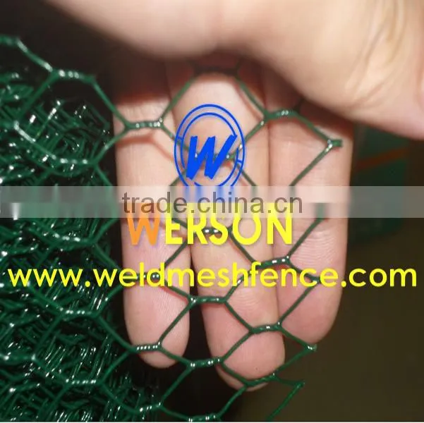 Hexagonal Wire Netting