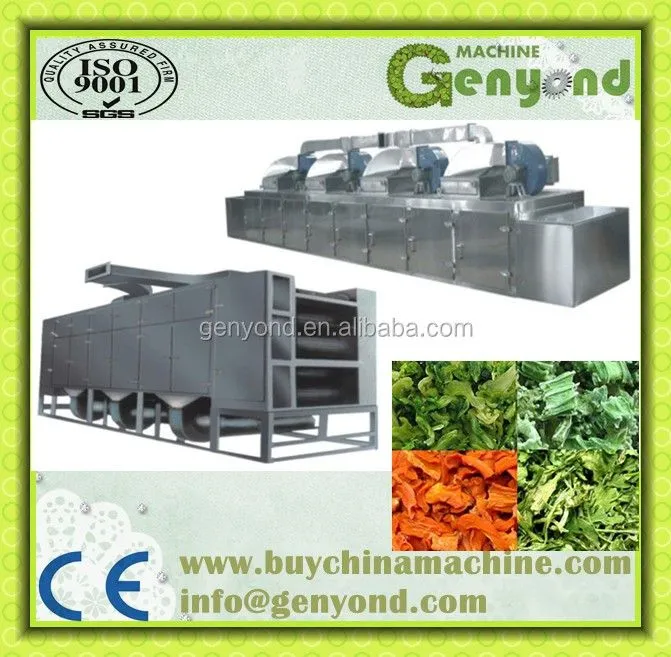 DW Series Mesh Belt Dryer Fruit and Vegetable Dryer