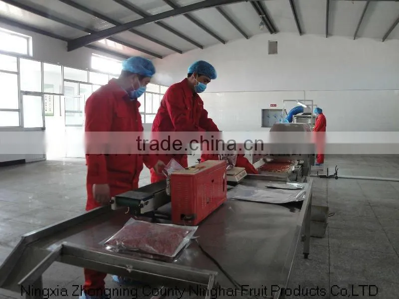 ningxia fresh red goji