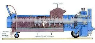 Grape peeling and crusher