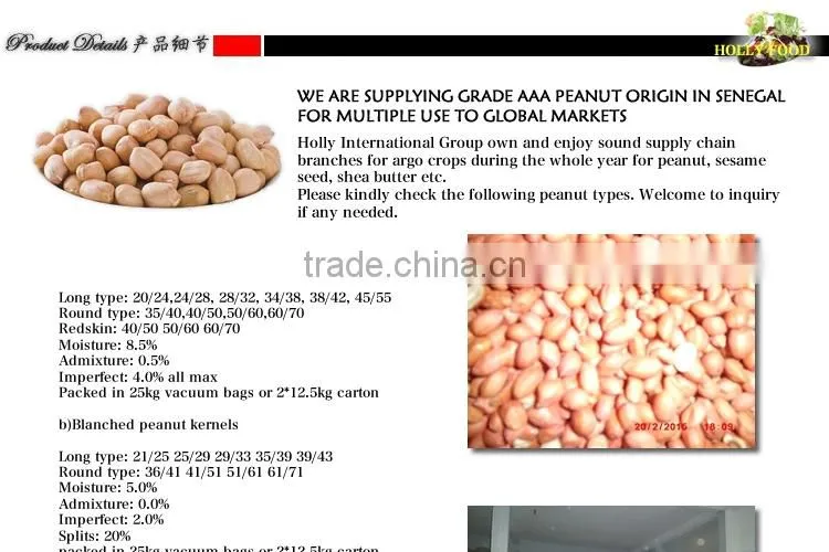 Grade A JAVA 60/70 Senegal African Peanut Kernel red skin peanut butter freight to Qingdao world-wide sales