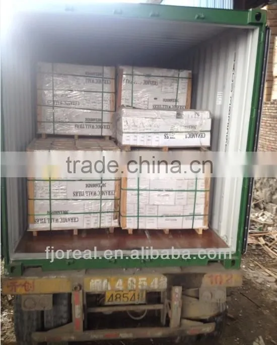 Digital Wall Tile 300x600mm for Exterior
