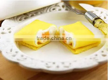 electric stainless steel crepe maker( 2- plate)
