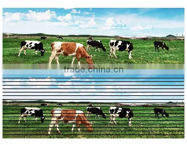 2015 new product p4.81 led display smd led indoor