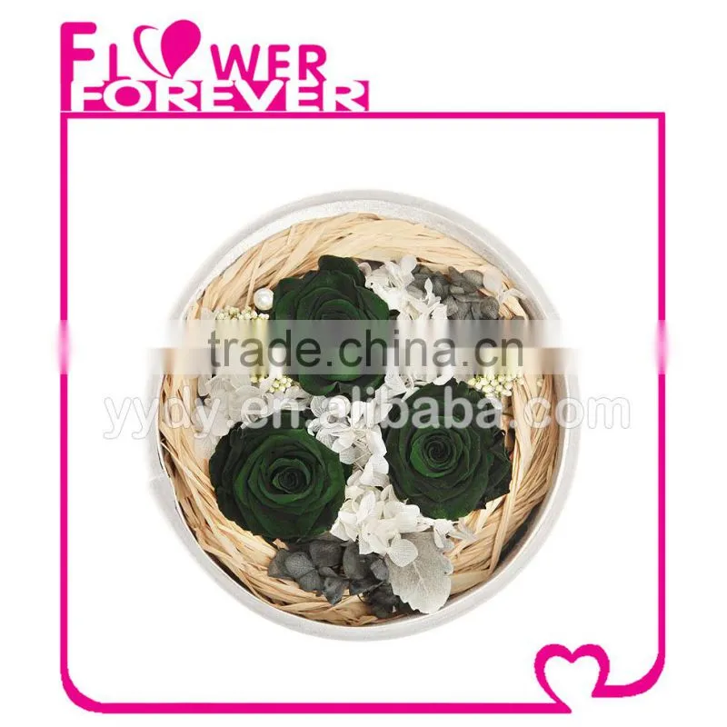 Best Selling Natural Preserved Flower