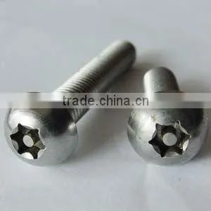 stainless steel safety screw