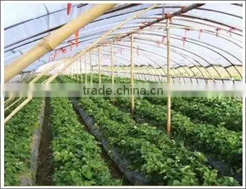 plastic film