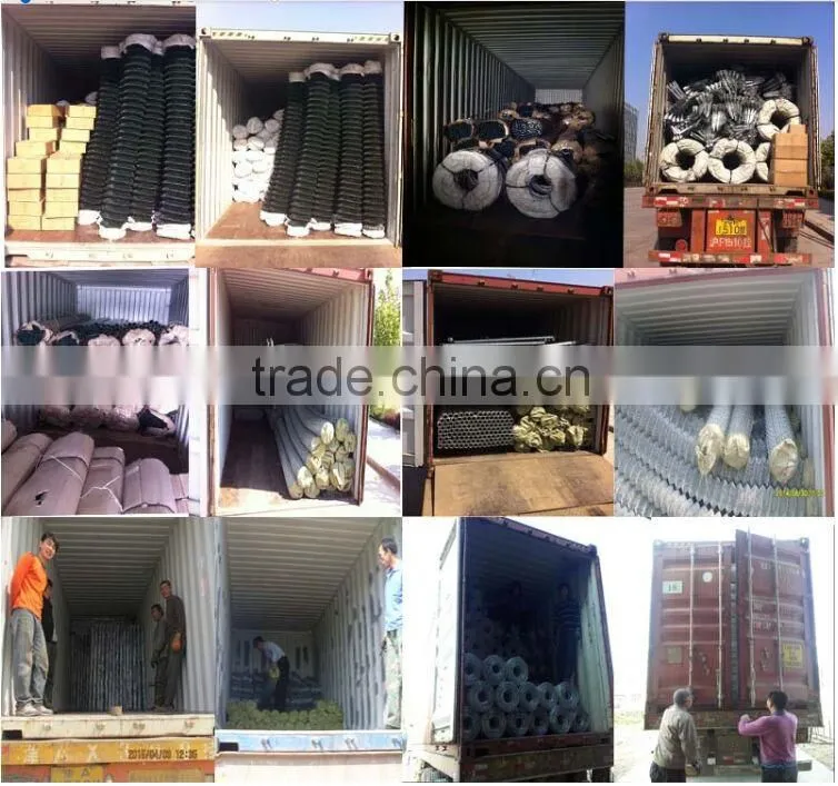 Stainless steel crimped wire mesh (ap manufacturer)