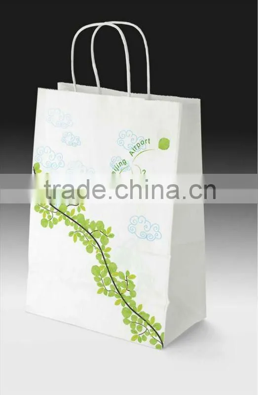 Fashion Paper Shopping Bag