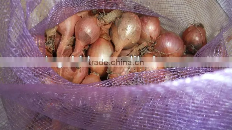 fresh onion prices in china
