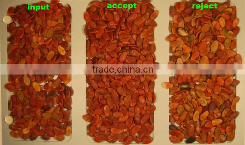 5000+pixel 2016 pepper color sorter with fast detection and high identification rate,pepper grading machine
