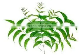 NEEM POWDER FOR AYURVEDIC REMEDY