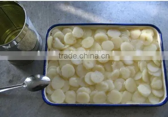Canned Food Factory Canned Vegetable Water Chestnuts Slices