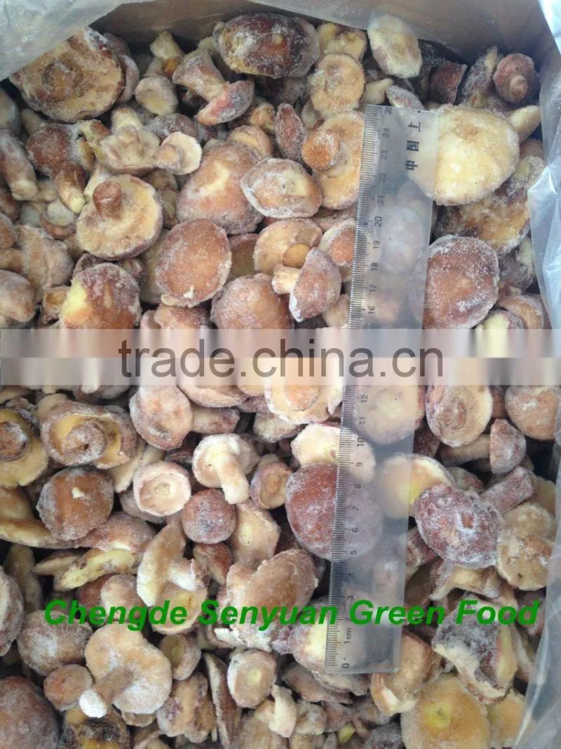 IQF suillus granulatus