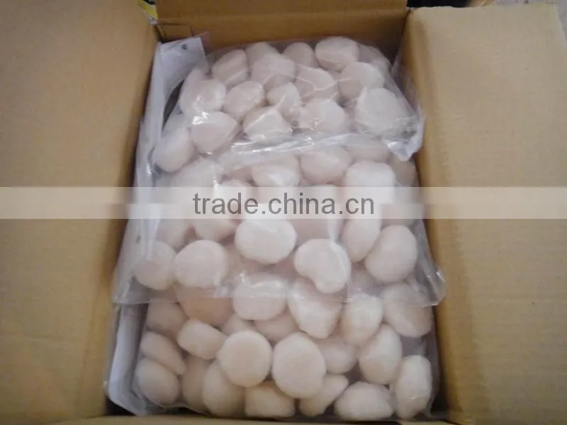 Frozen sea scallop meat