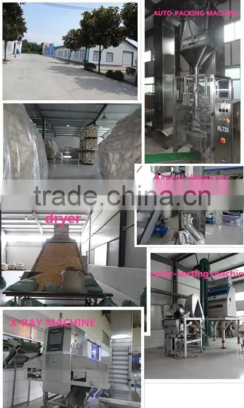 2016 New Crop Dried Ginger FLakes
