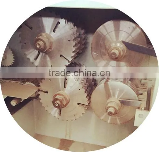 Brand protection multi blade saw machine made in China