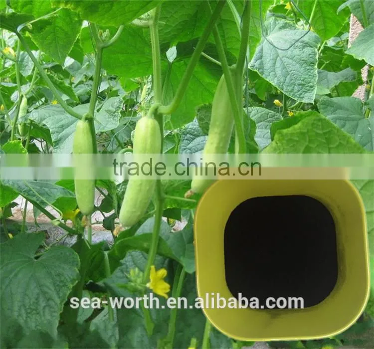 Cheap sodium humate granular for fish fertilzier for soil