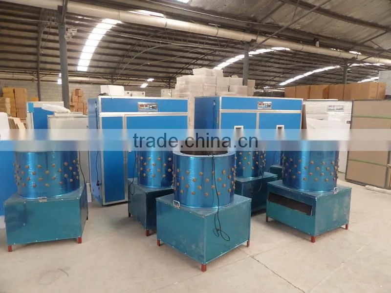 Poultry plucking equipment,chicken plucking machine,low cost chicken plucker