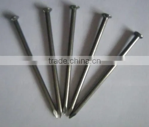 common iron nail