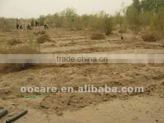 Moistube irrigation