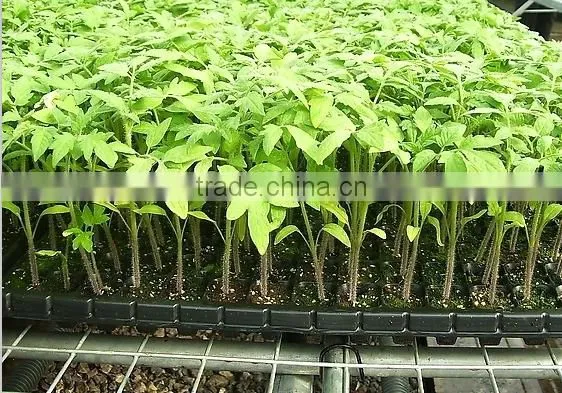 plastic cell tray flower seed tray