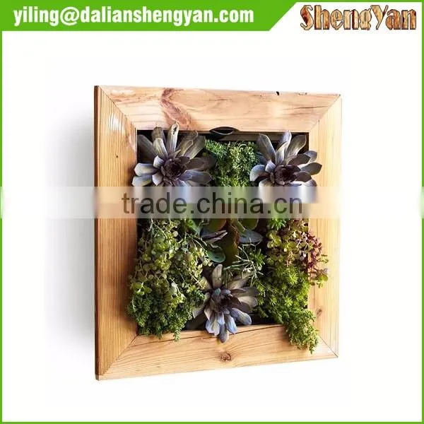 Hot sale indoor planter hydrogel crystal soil
