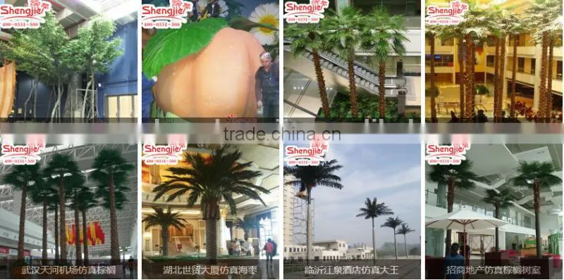 CHY070908 High quality tree leaves/Bay leaf craft/bay leaf production