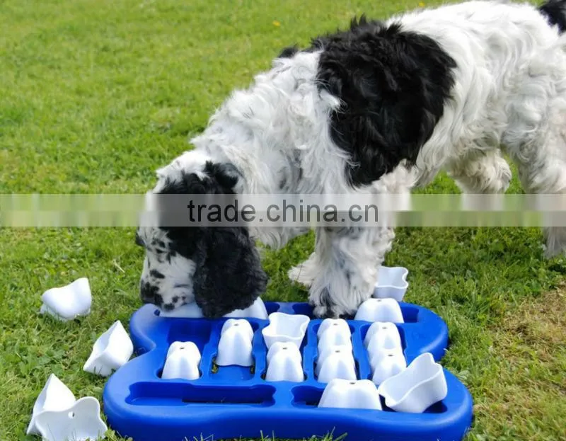 Dog IQ Games, plastic, Level 2 Puzzle training Dog Toy