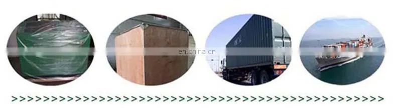 China famous brand Beifang BF1176 diesel fuel common rail injector test bench