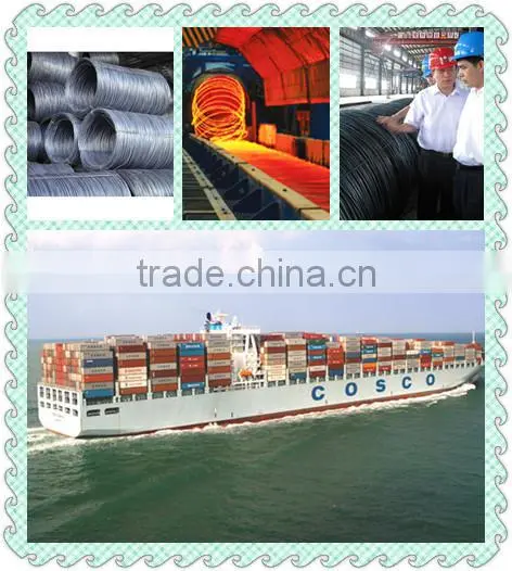 Hot Rolled wire rod