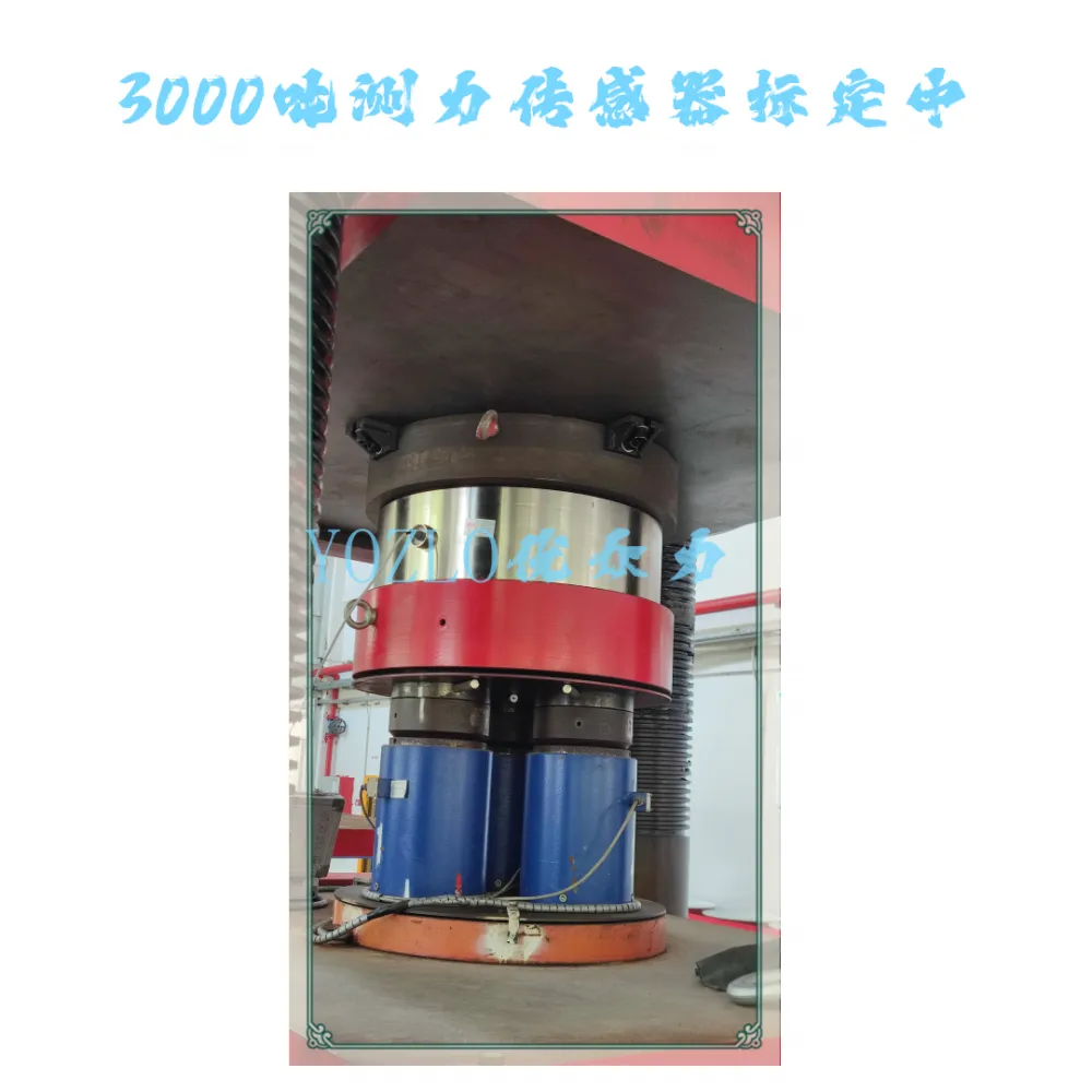 3000