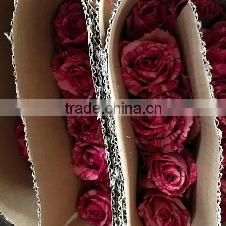 Fresh best selling rainbow preserved rose