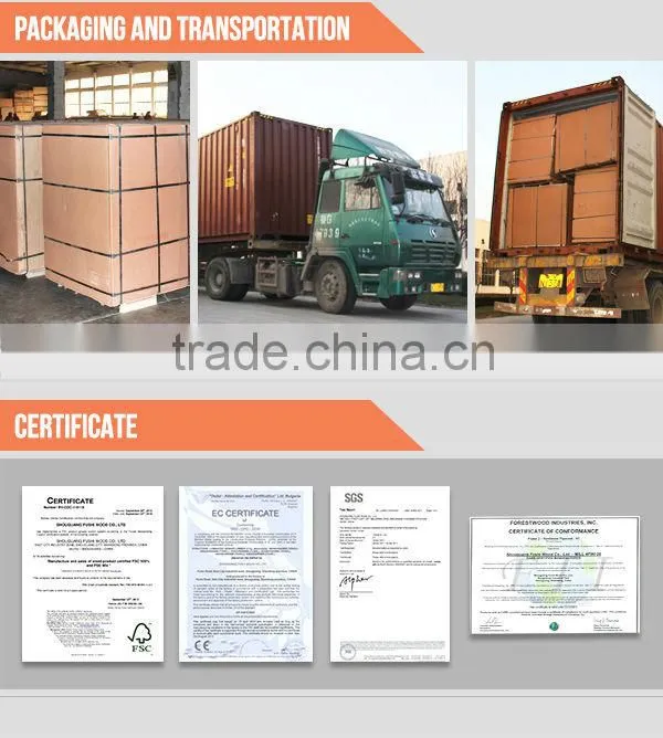 construction material hardwood plywood with eucalyptus made in china