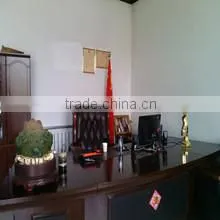 Yongqing Guangyu Glass Beads Co., Ltd. company overview - view 2